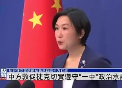 c7c7.app-瑞士血战捷克，意气风发向前迈进的简单介绍